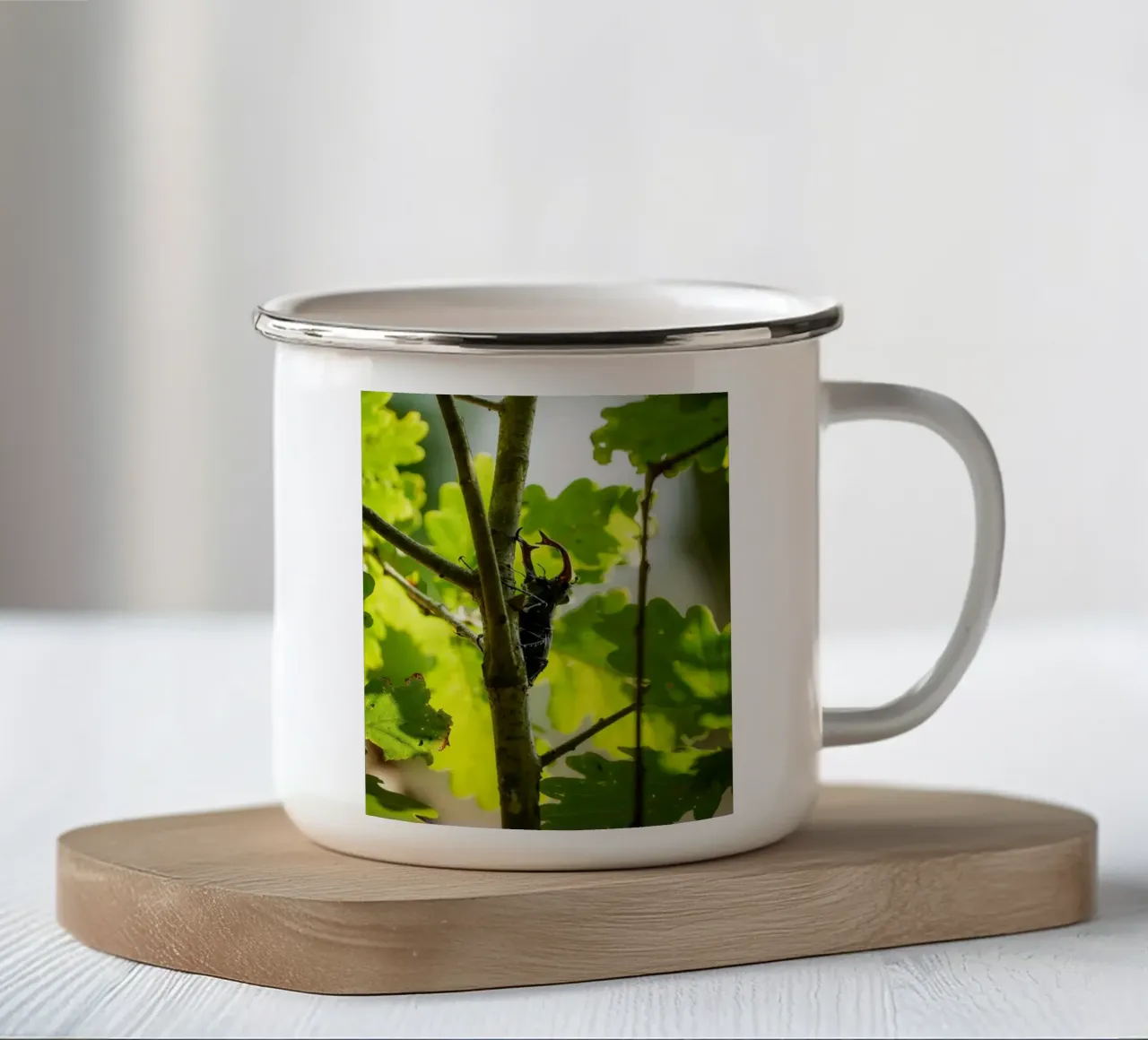 Scarafaggio cervo tazza in smalto da Tom's Wildlife