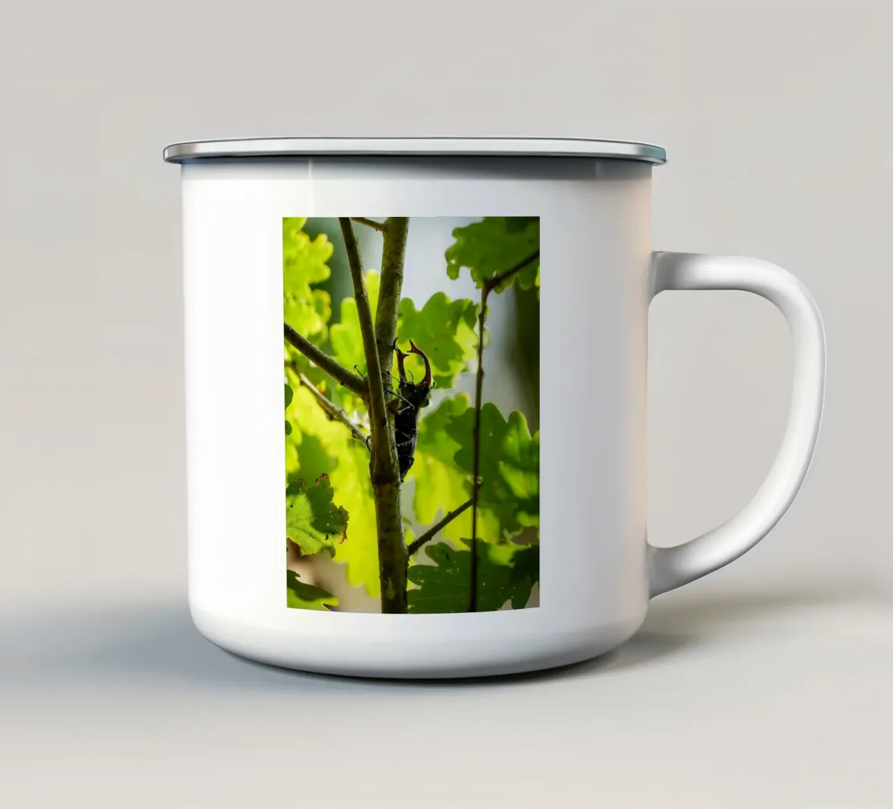 Scarafaggio cervo tazza in smalto da Tom's Wildlife