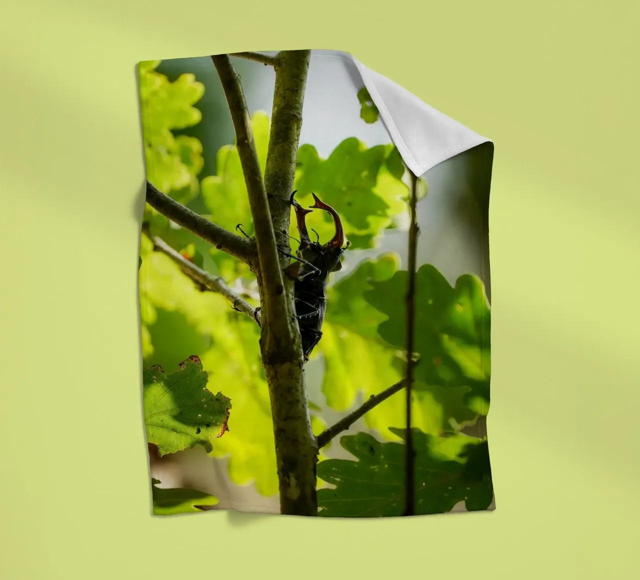 Hirschkäfer Fleecedecke von Tom's Wildlife