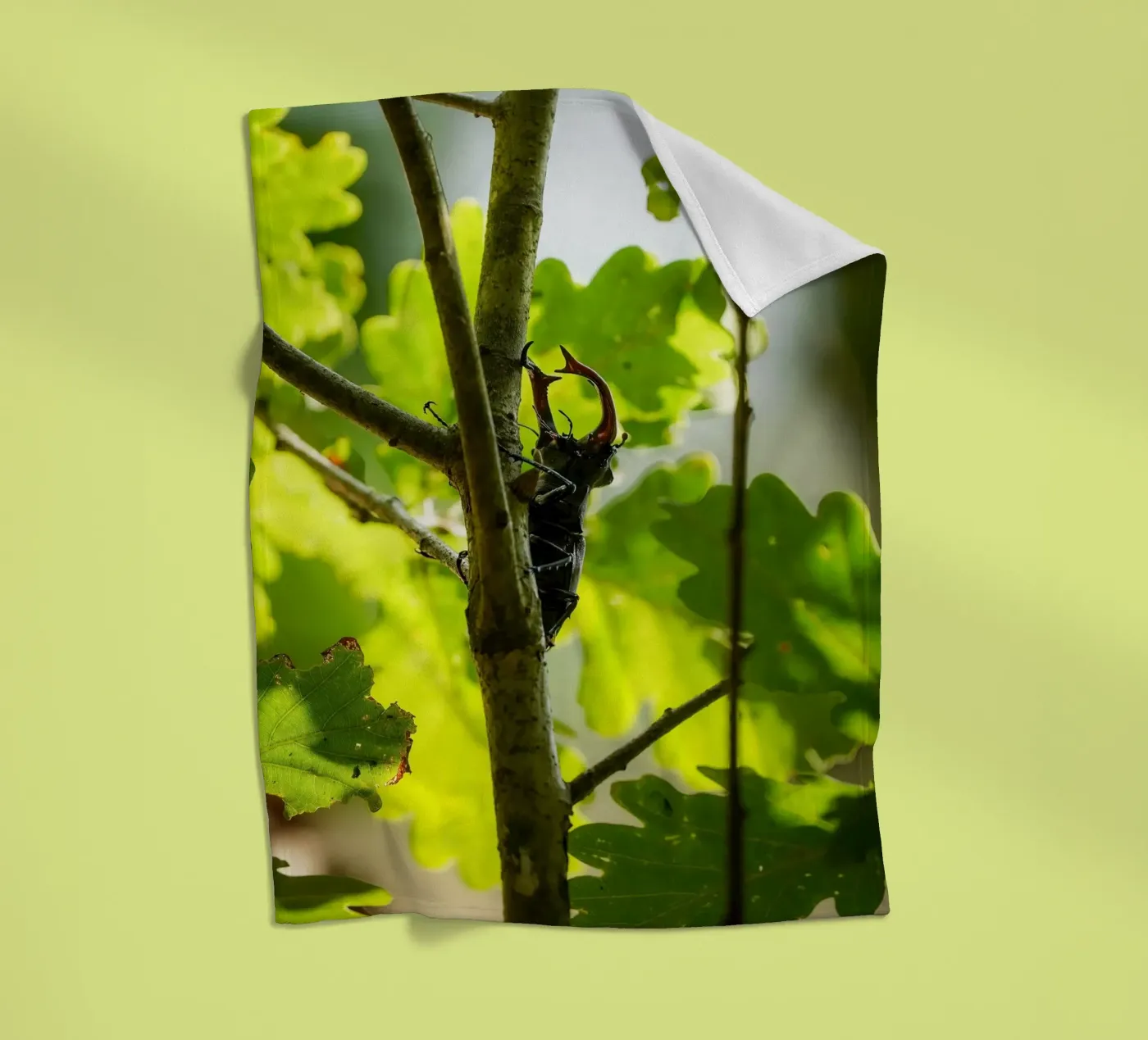 Stag Beetle Fleecedecke von Tom's Wildlife