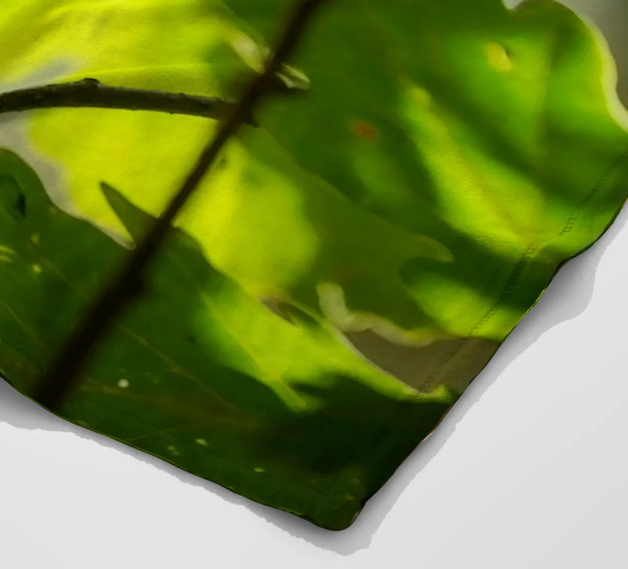 Hirschkäfer Fleecedecke von Tom's Wildlife