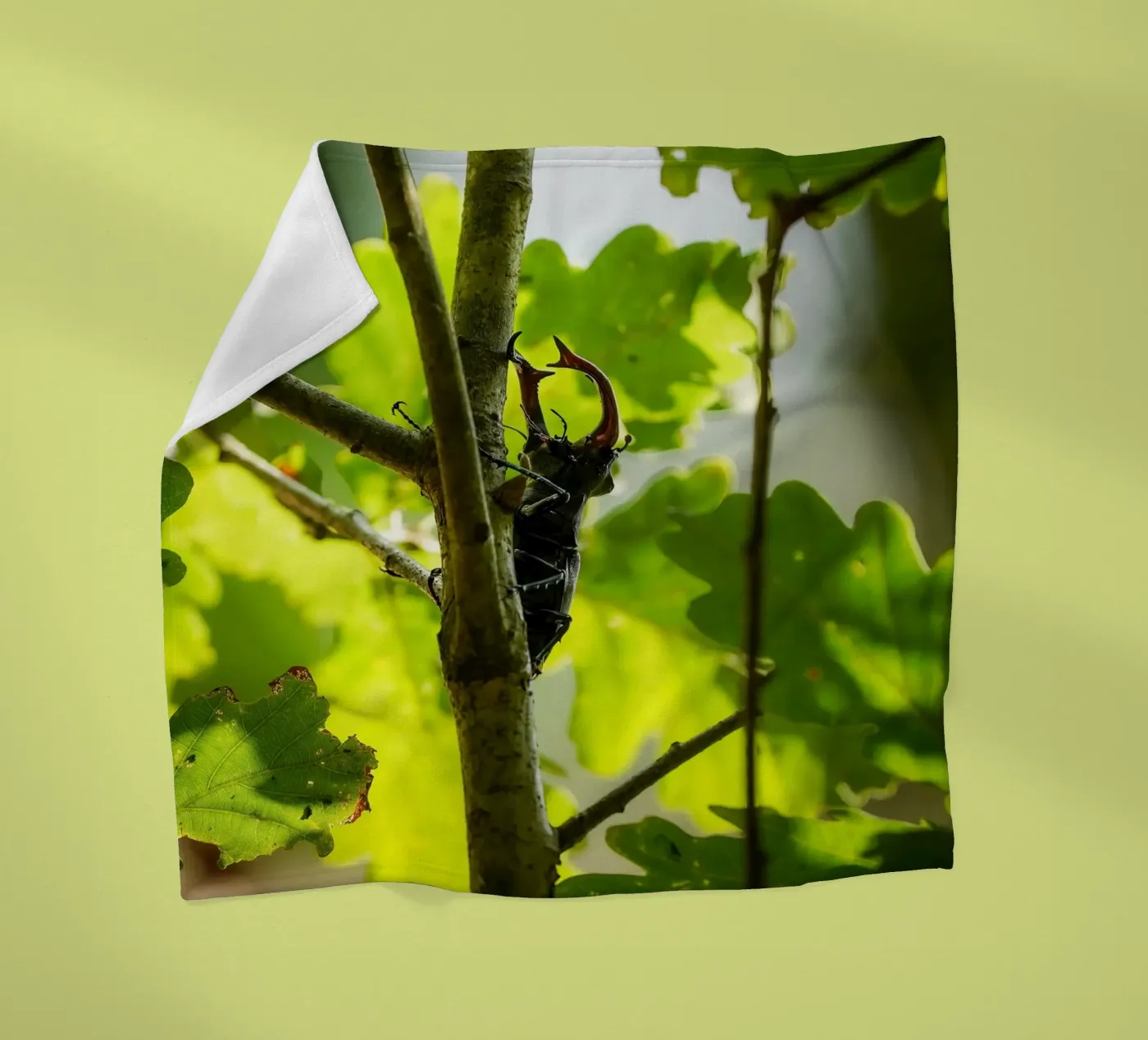 Stag Beetle Fleecedecke von Tom's Wildlife