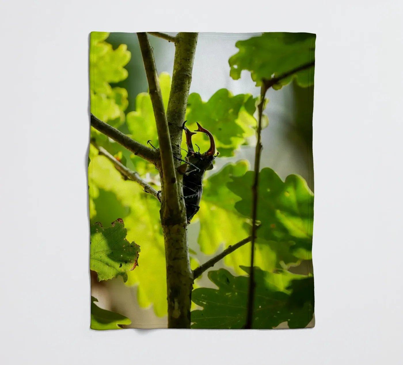 Stag Beetle Fleecedecke von Tom's Wildlife