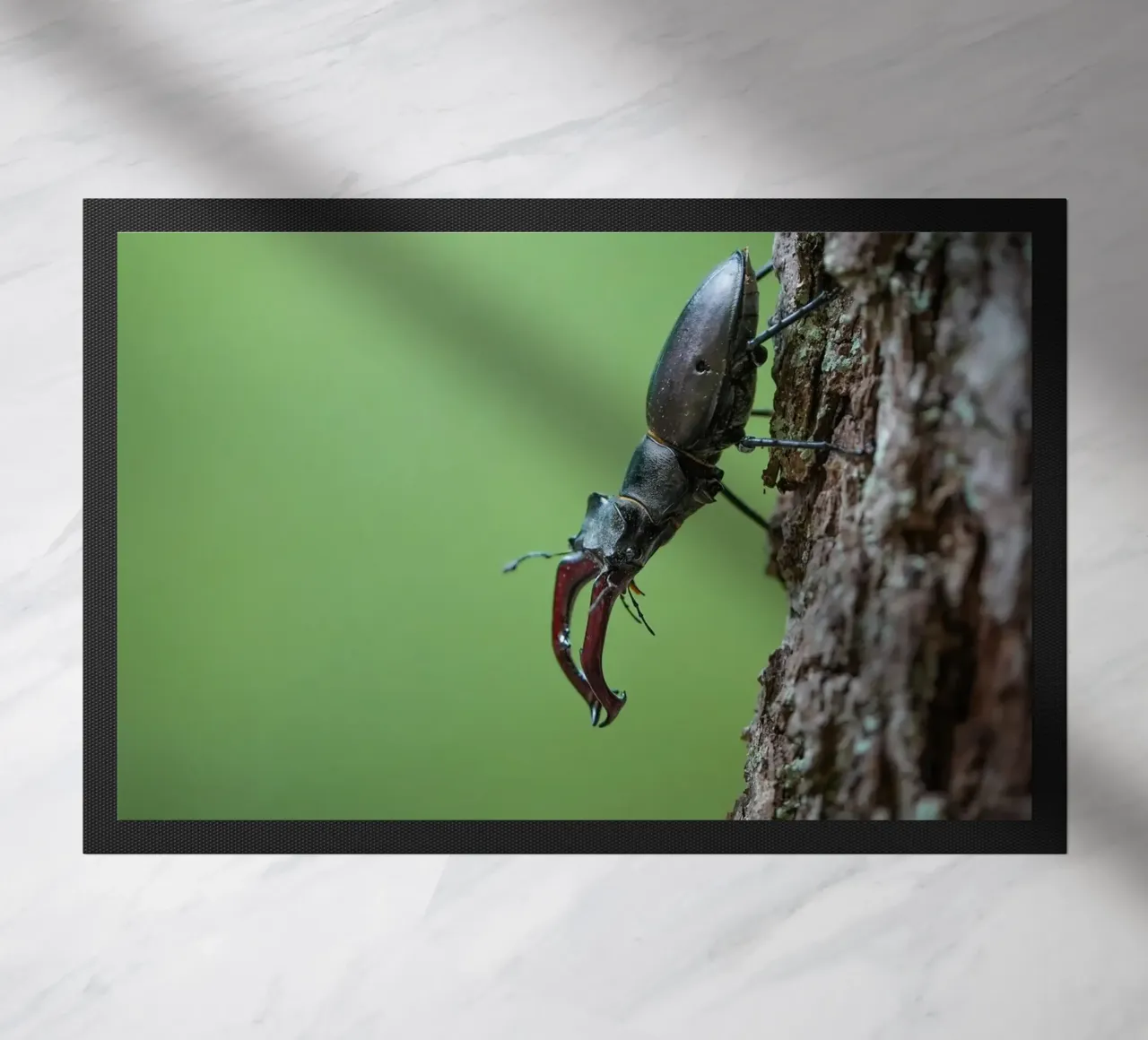 Hirschkäfer Fußmatte von Tom's Wildlife