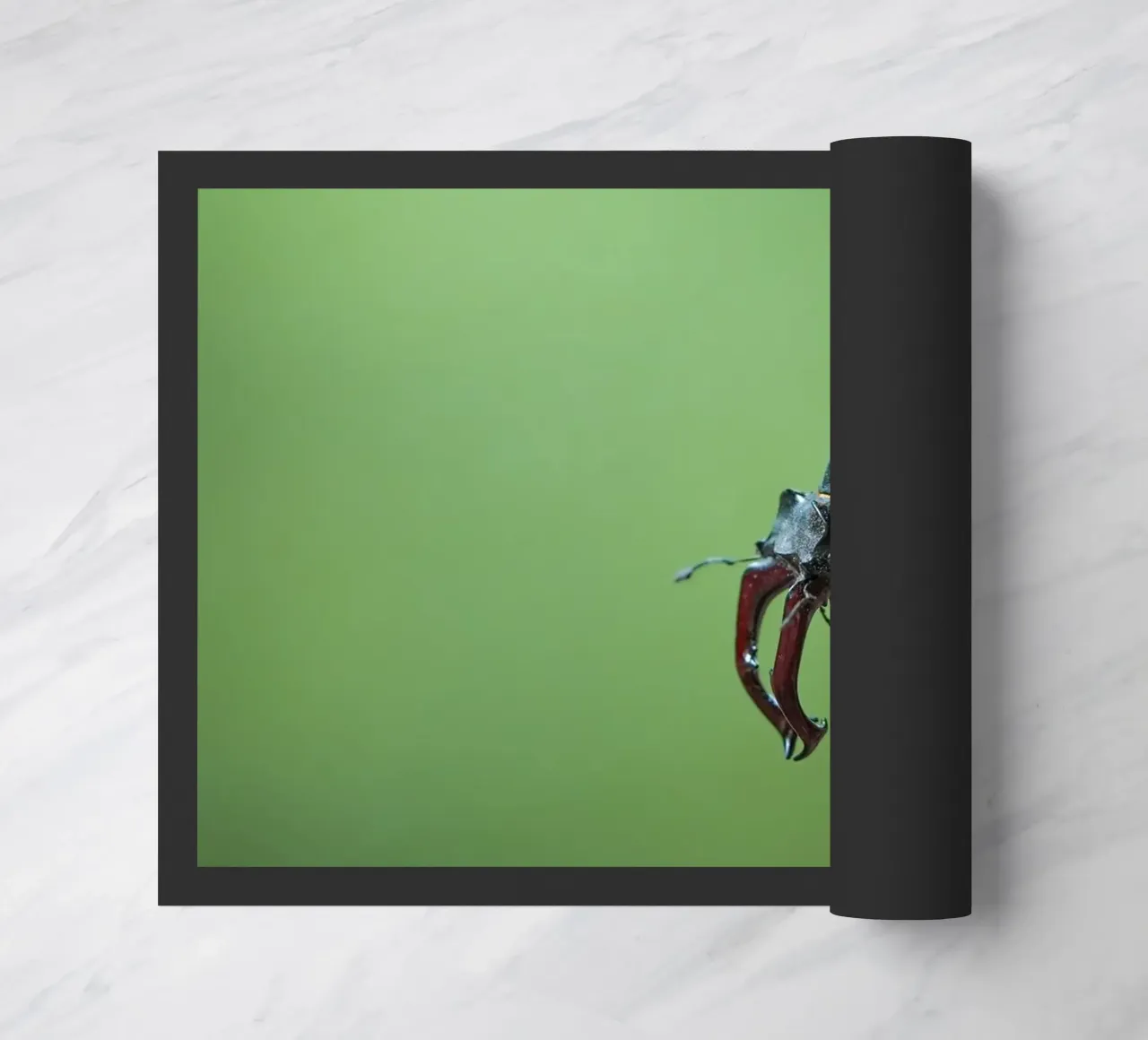 Hirschkäfer Fußmatte von Tom's Wildlife