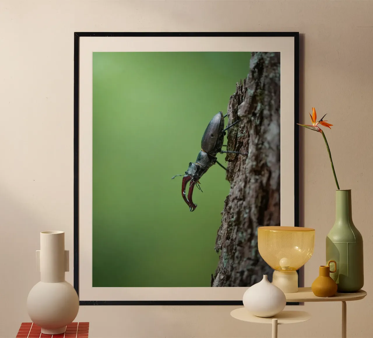 Hirschkäfer Poster von Tom's Wildlife