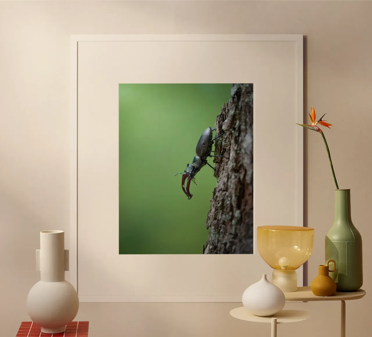 Hirschkäfer Poster von Tom's Wildlife