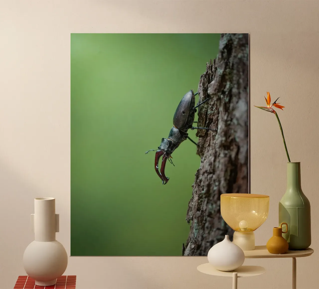 Hirschkäfer Poster von Tom's Wildlife