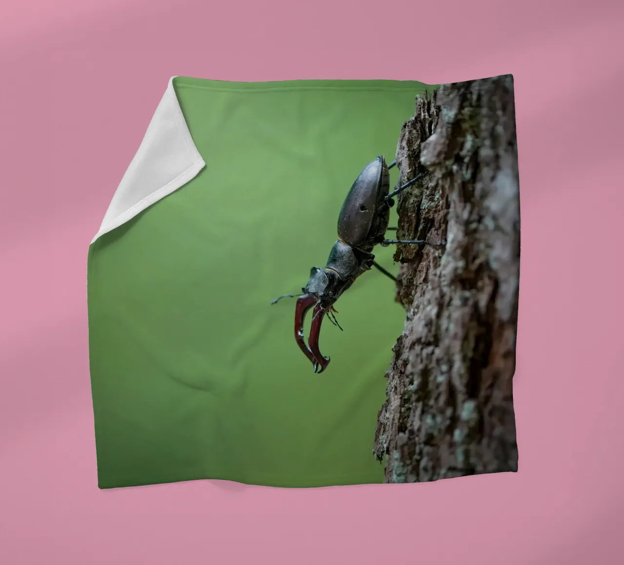 Hirschkäfer Fleecedecke von Tom's Wildlife