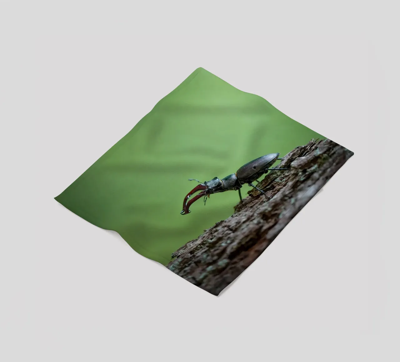 Hirschkäfer Fleecedecke von Tom's Wildlife