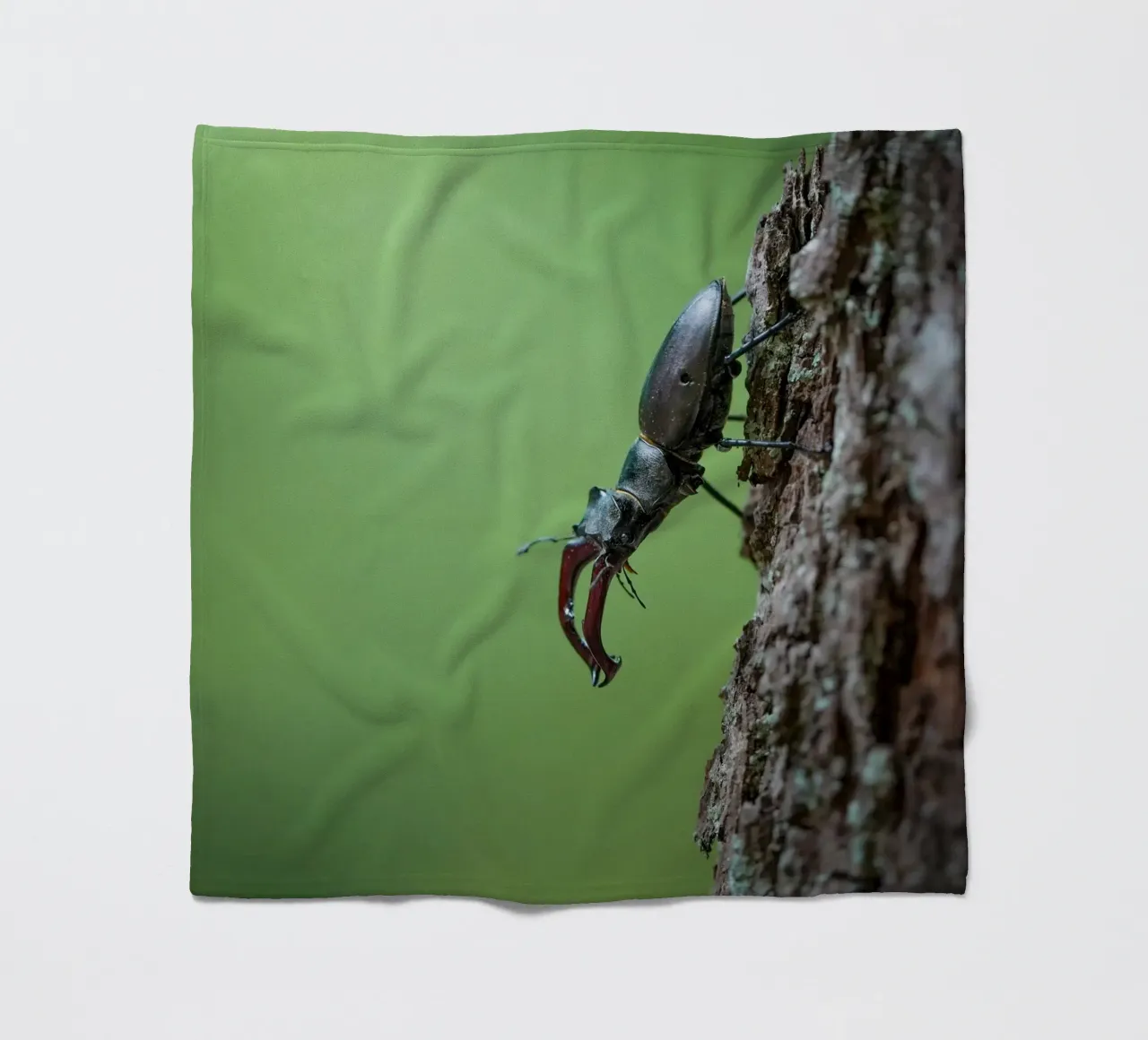 Hirschkäfer Fleecedecke von Tom's Wildlife