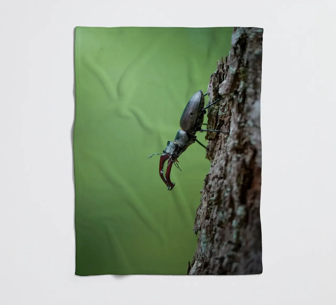 Hirschkäfer Fleecedecke von Tom's Wildlife