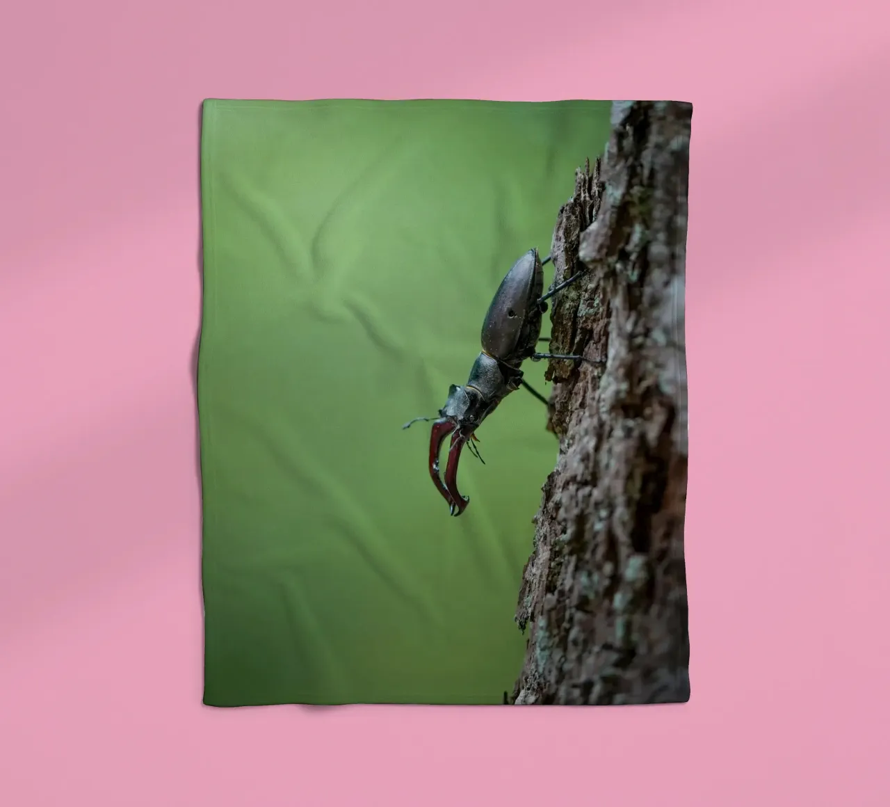 Hirschkäfer Fleecedecke von Tom's Wildlife