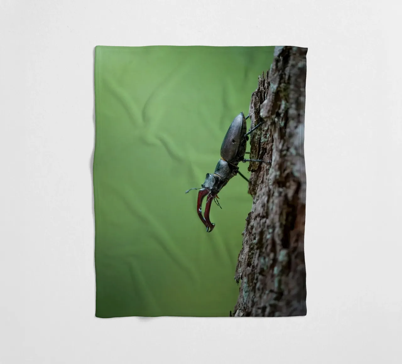 Hirschkäfer Fleecedecke von Tom's Wildlife