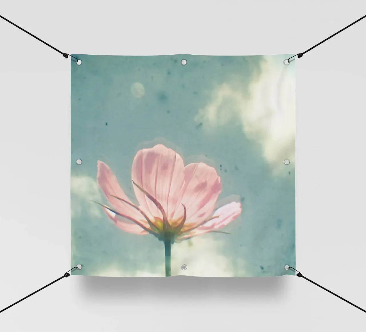 Cosmo rosa telo in pvc da Cassia Beck Photography