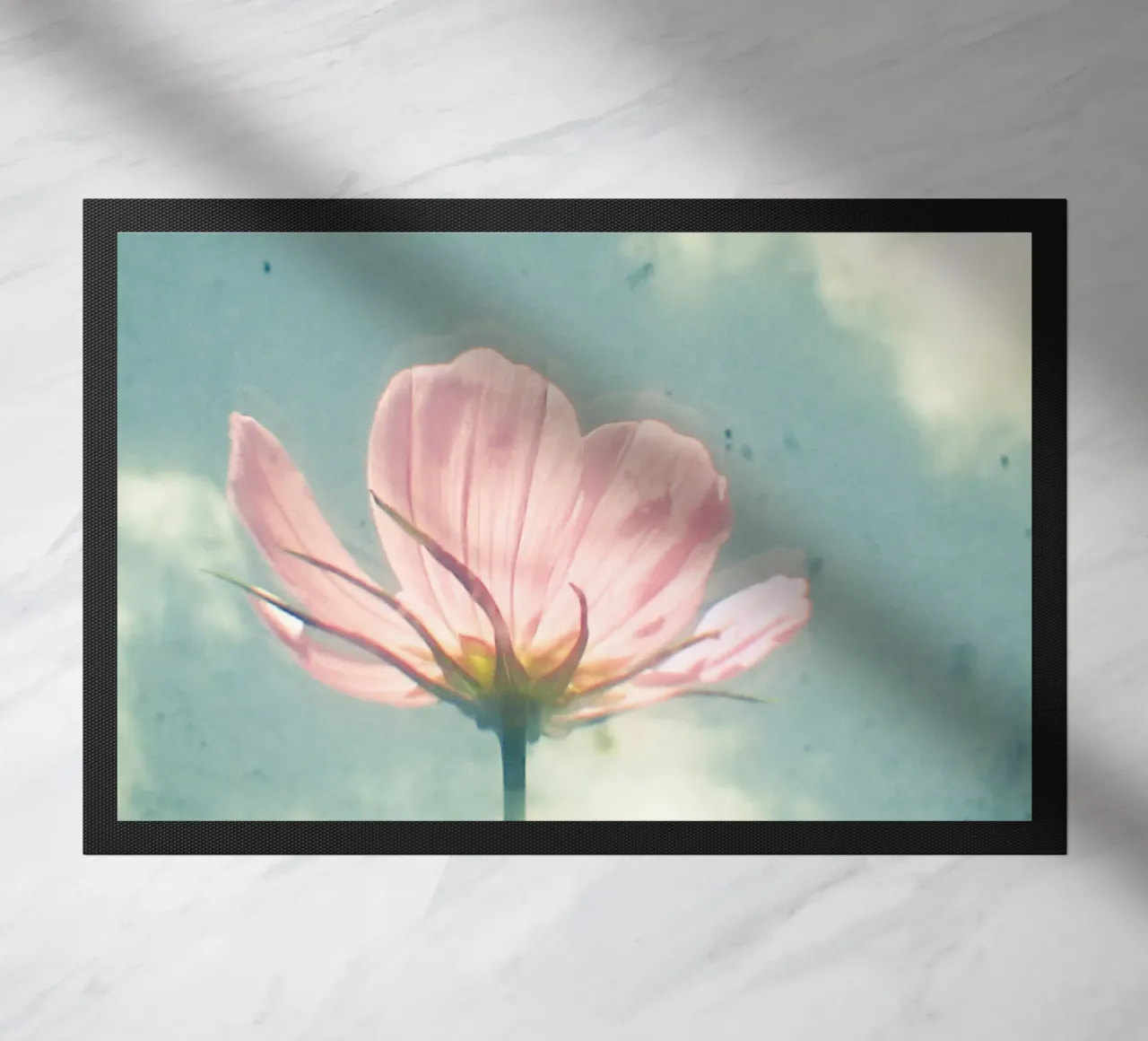 Cosmo rosa zerbino da Cassia Beck Photography