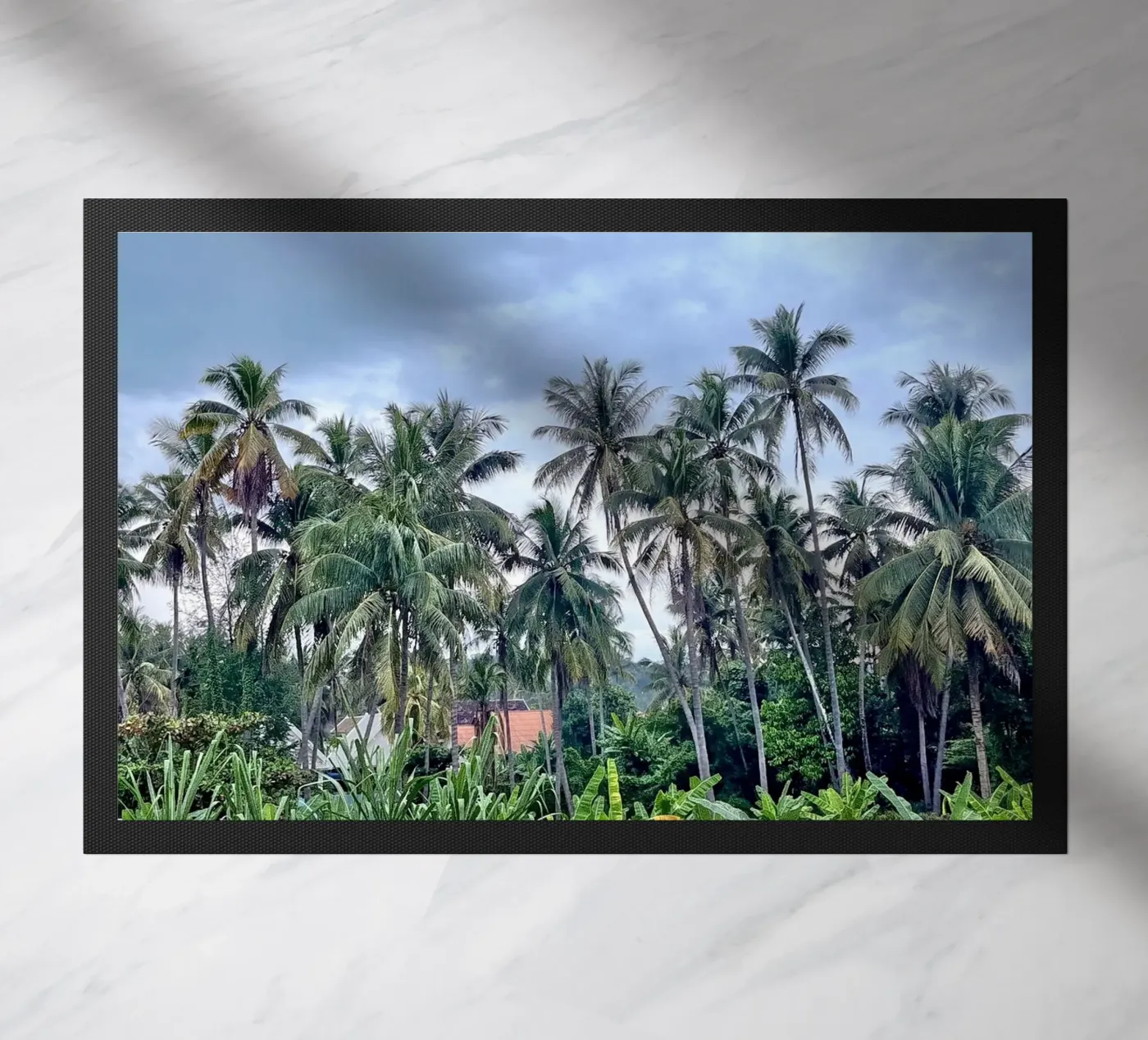 palmtrees in laos zerbino da Reiselust