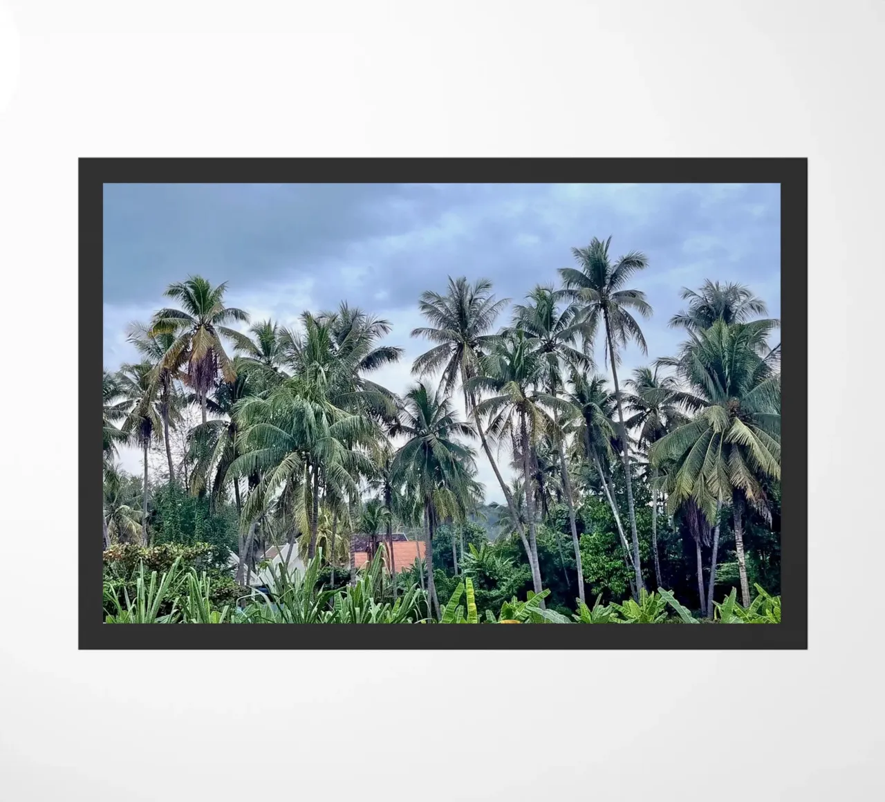 palmtrees in laos zerbino da Reiselust
