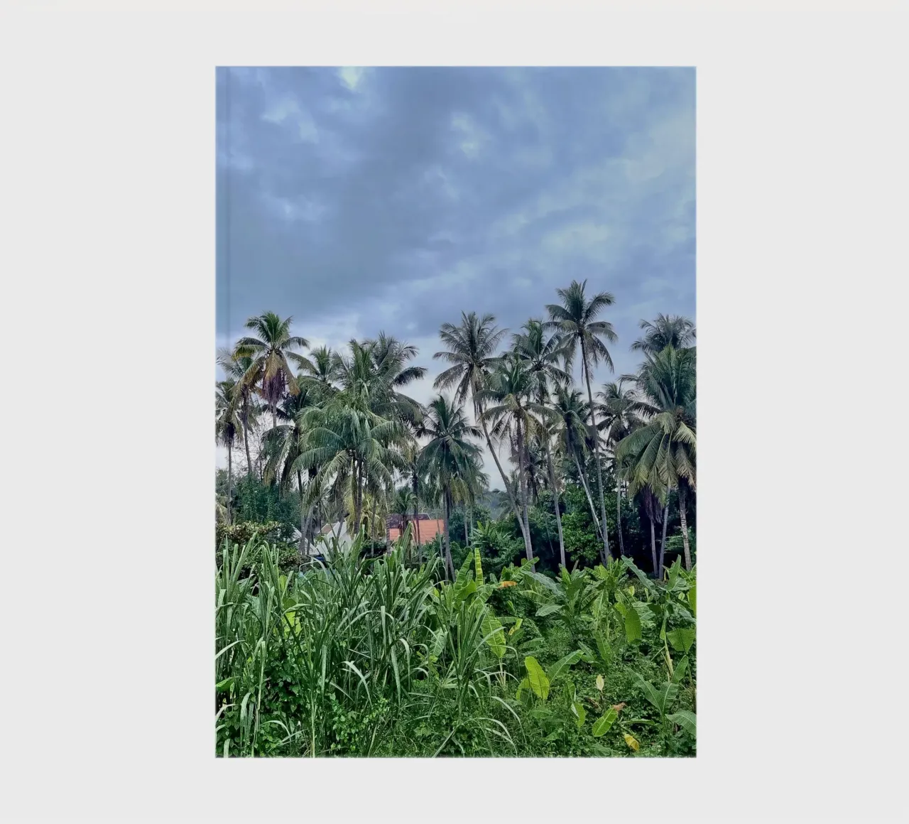 palmtrees in laos notebook by Reiselust