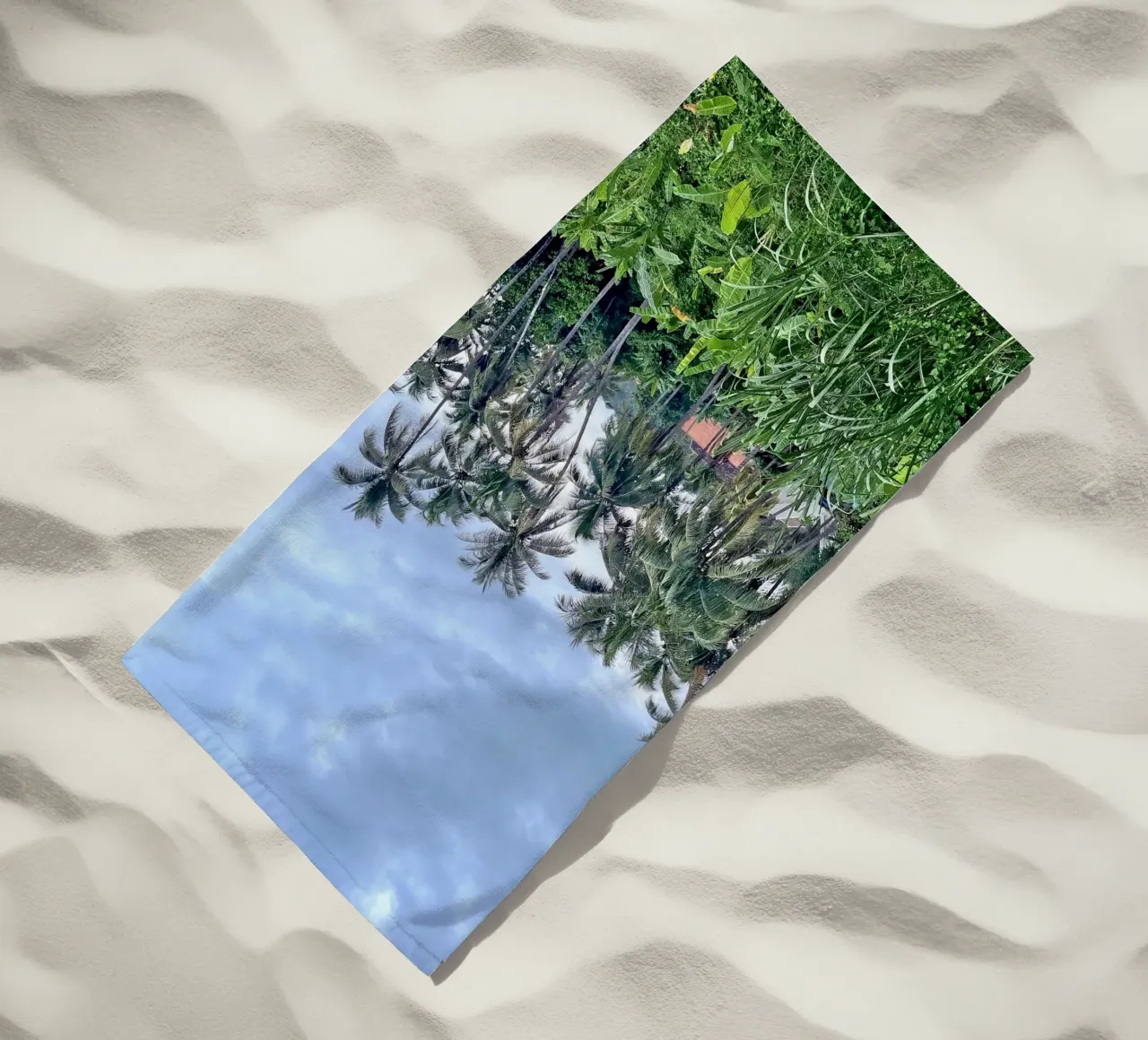 palmtrees in laos telo mare da Reiselust