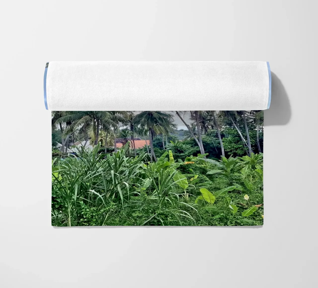 palmtrees in laos telo mare da Reiselust