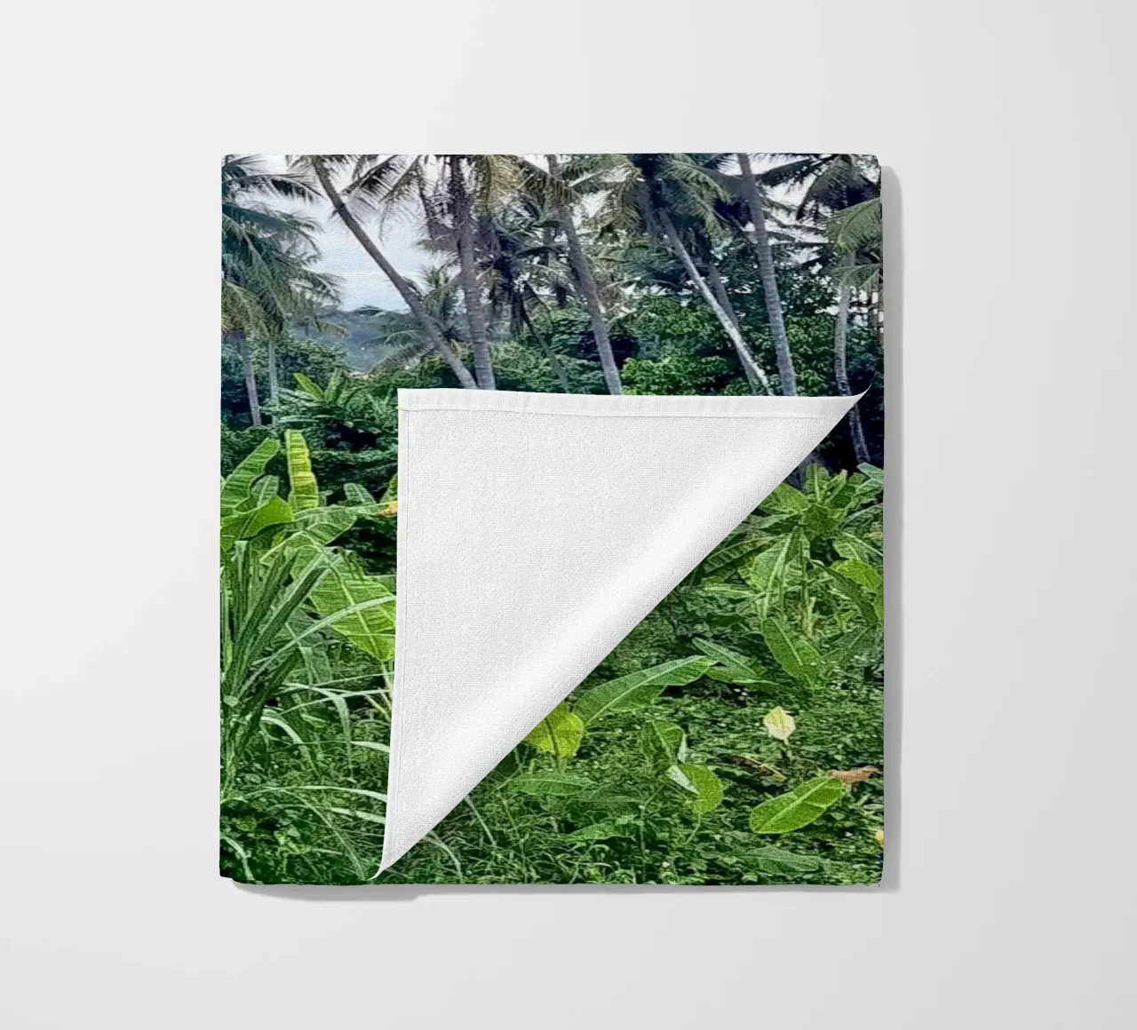 palmtrees in laos telo mare da Reiselust