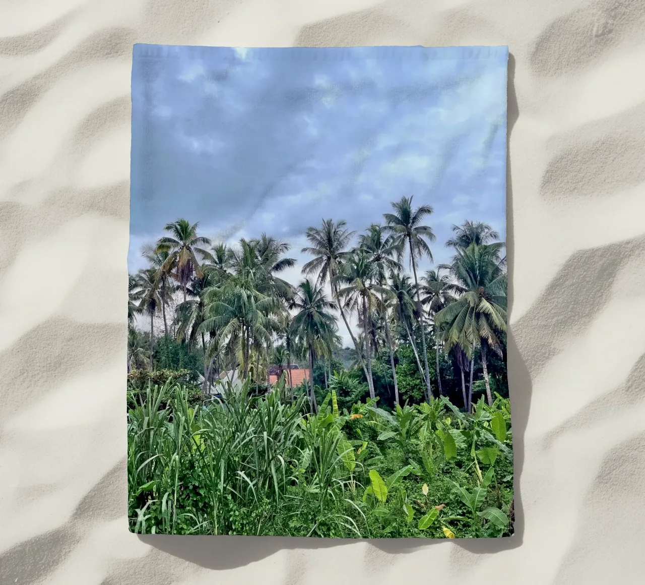 palmtrees in laos telo mare da Reiselust