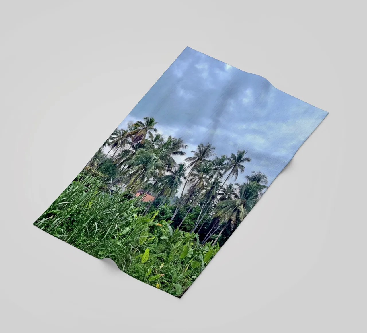 palmtrees in laos telo mare da Reiselust