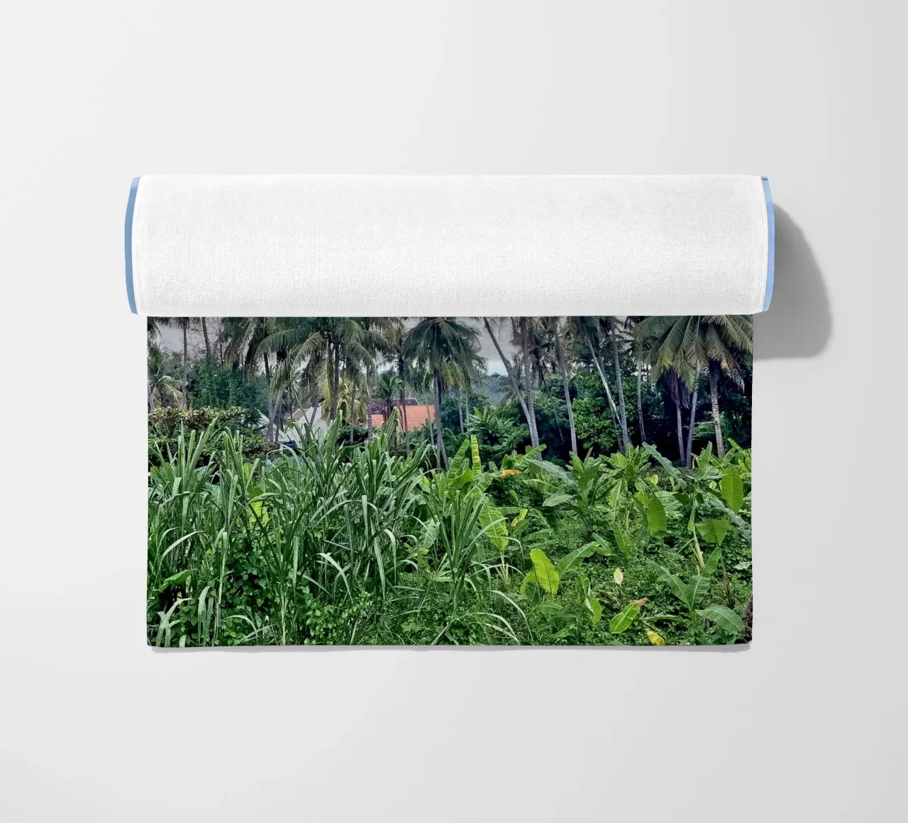 palmtrees in laos telo mare da Reiselust