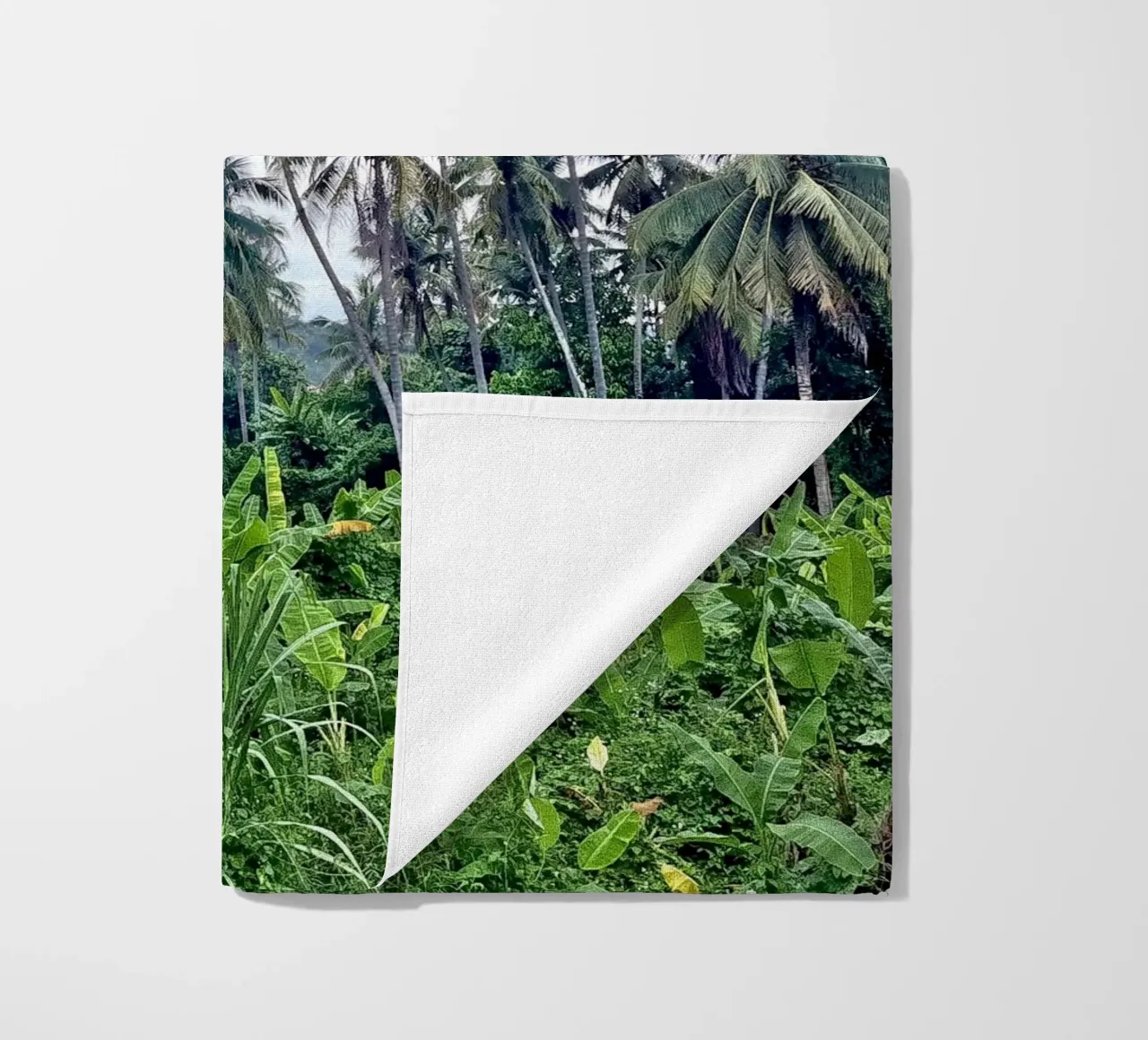 palmtrees in laos telo mare da Reiselust