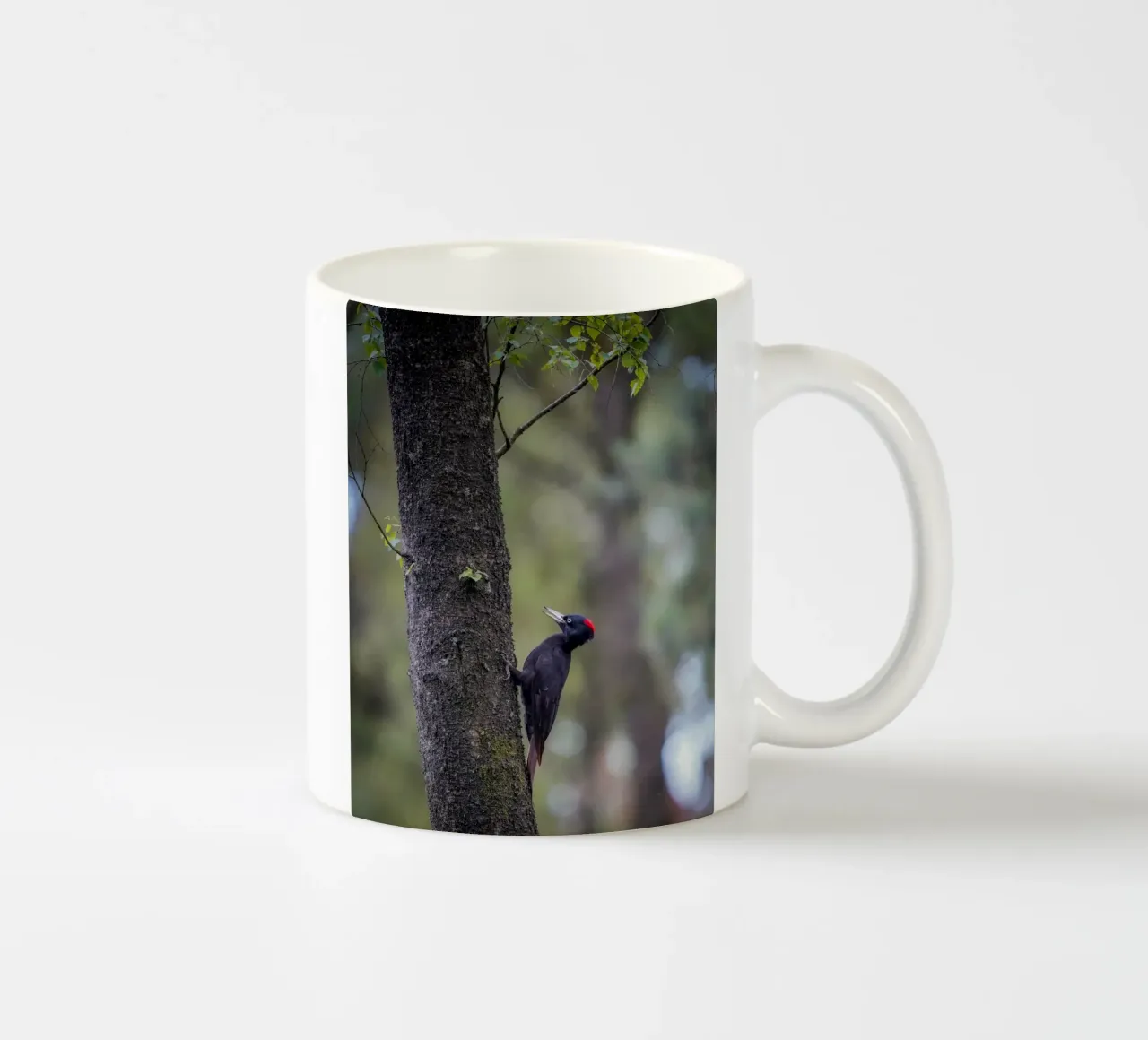 Picchio nero tazza in ceramica da Tom's Wildlife