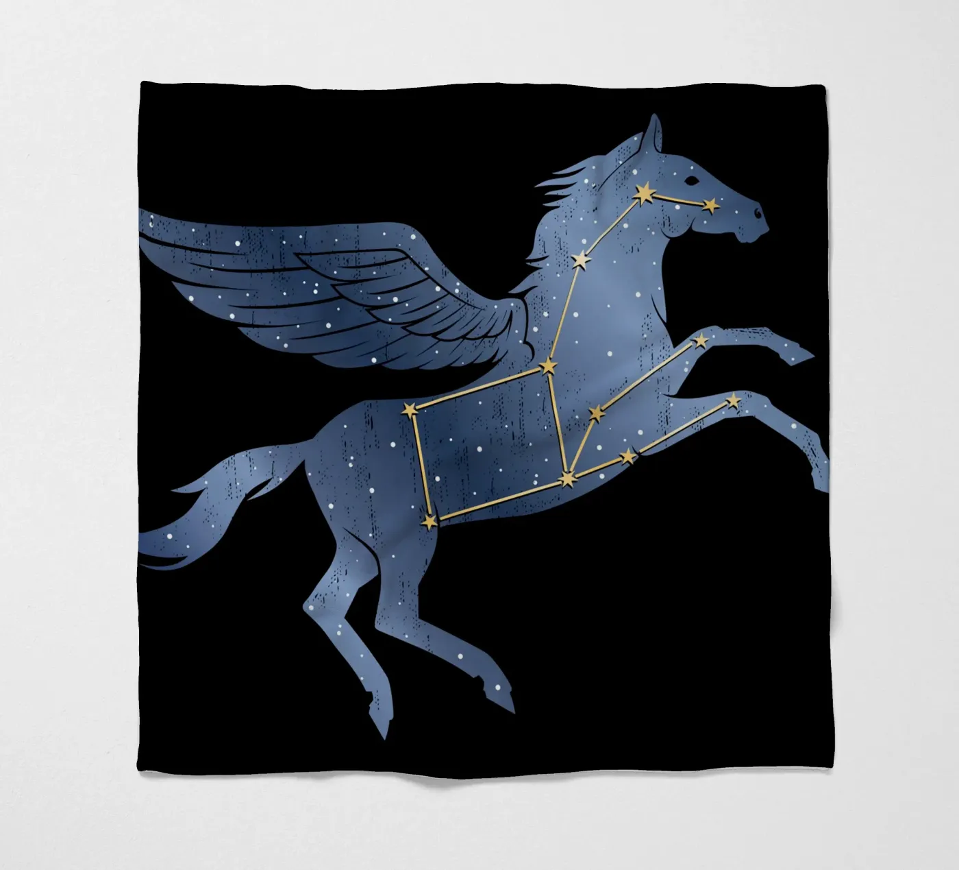 Pegaso coperta in pile da Mariel Toigo