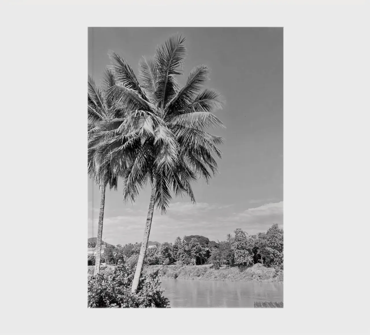 palmtree notebook by Reiselust