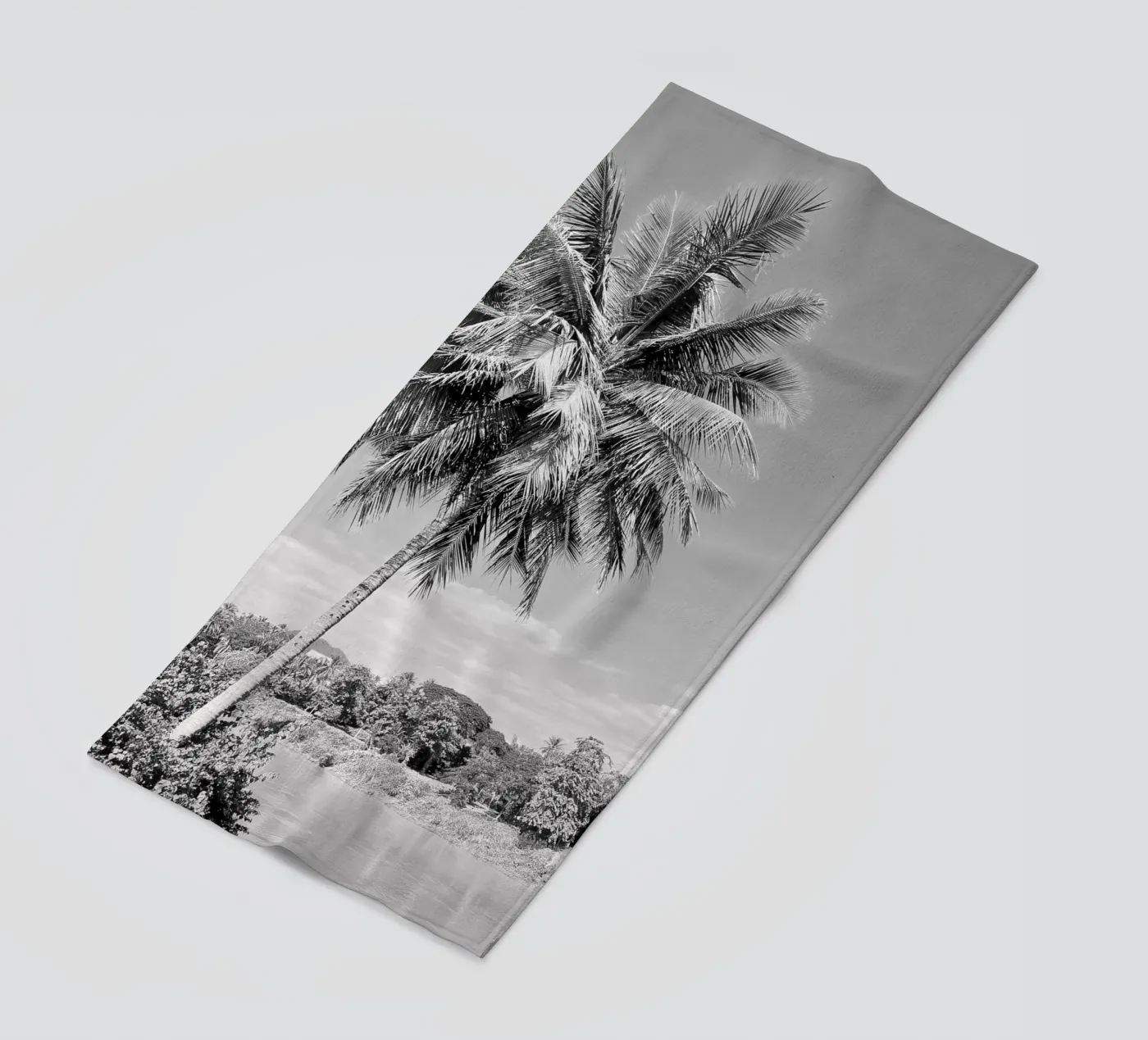 palmtree telo mare da Reiselust