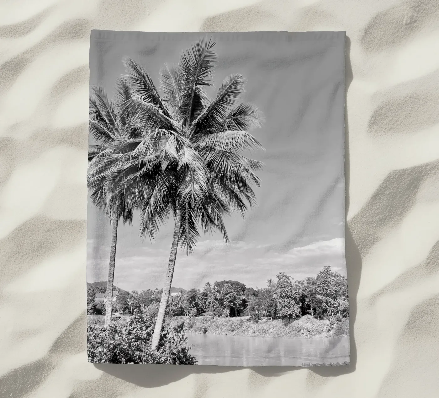 palmtree telo mare da Reiselust
