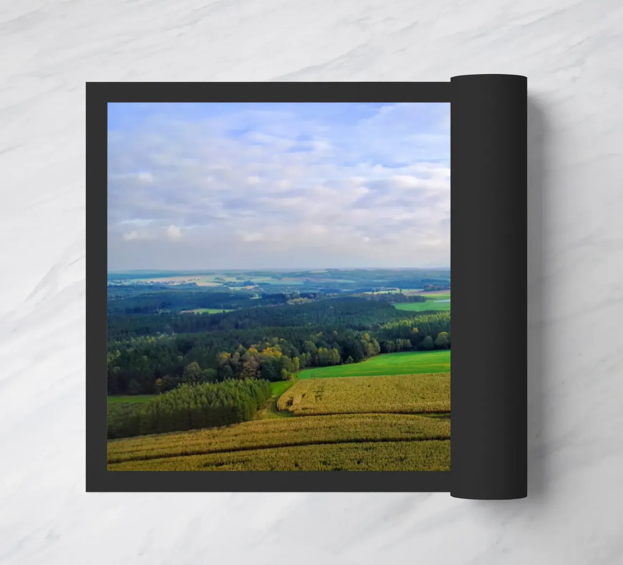 Renewable Shenanigans zerbino da zenitt