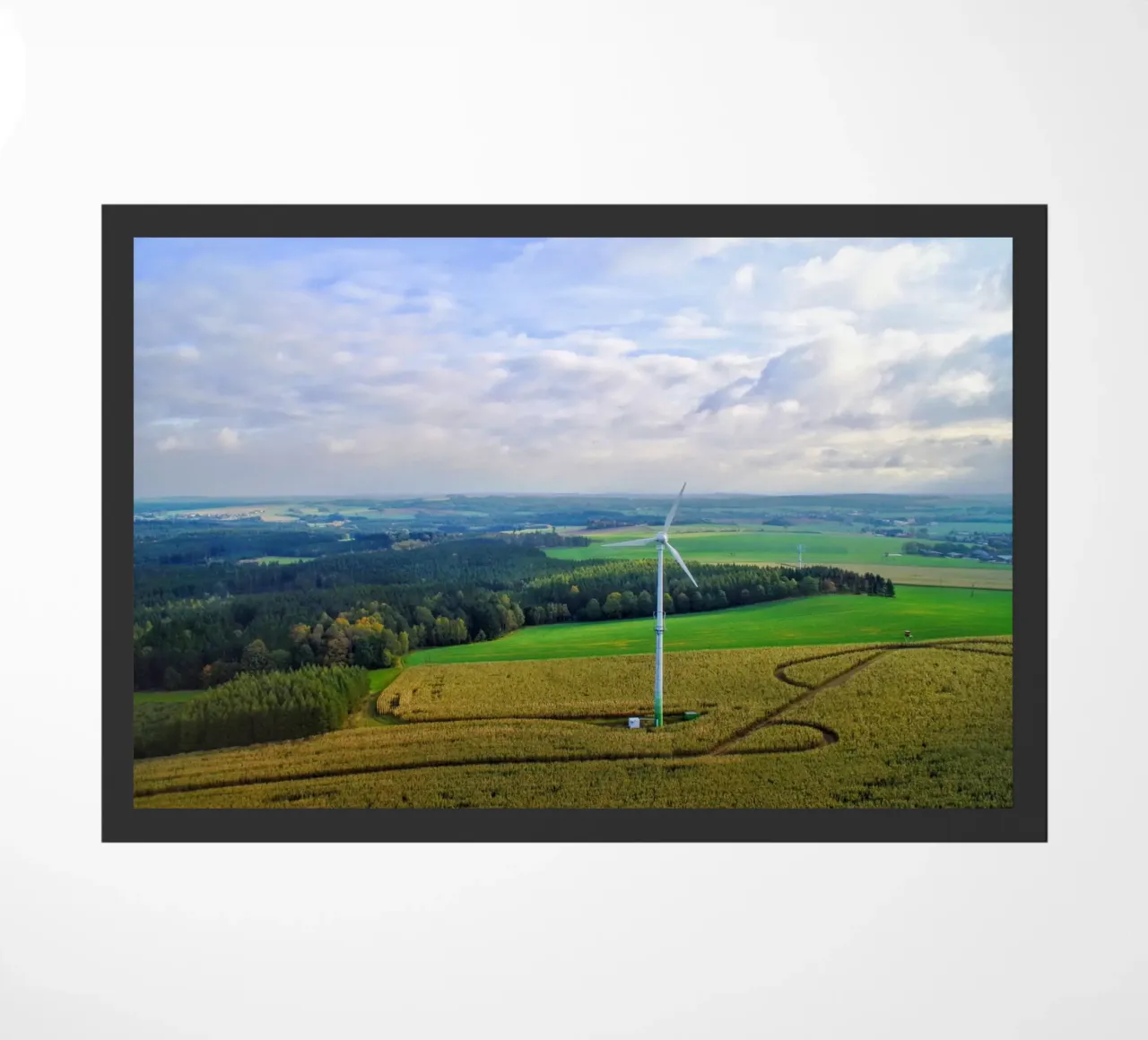 Renewable Shenanigans zerbino da zenitt