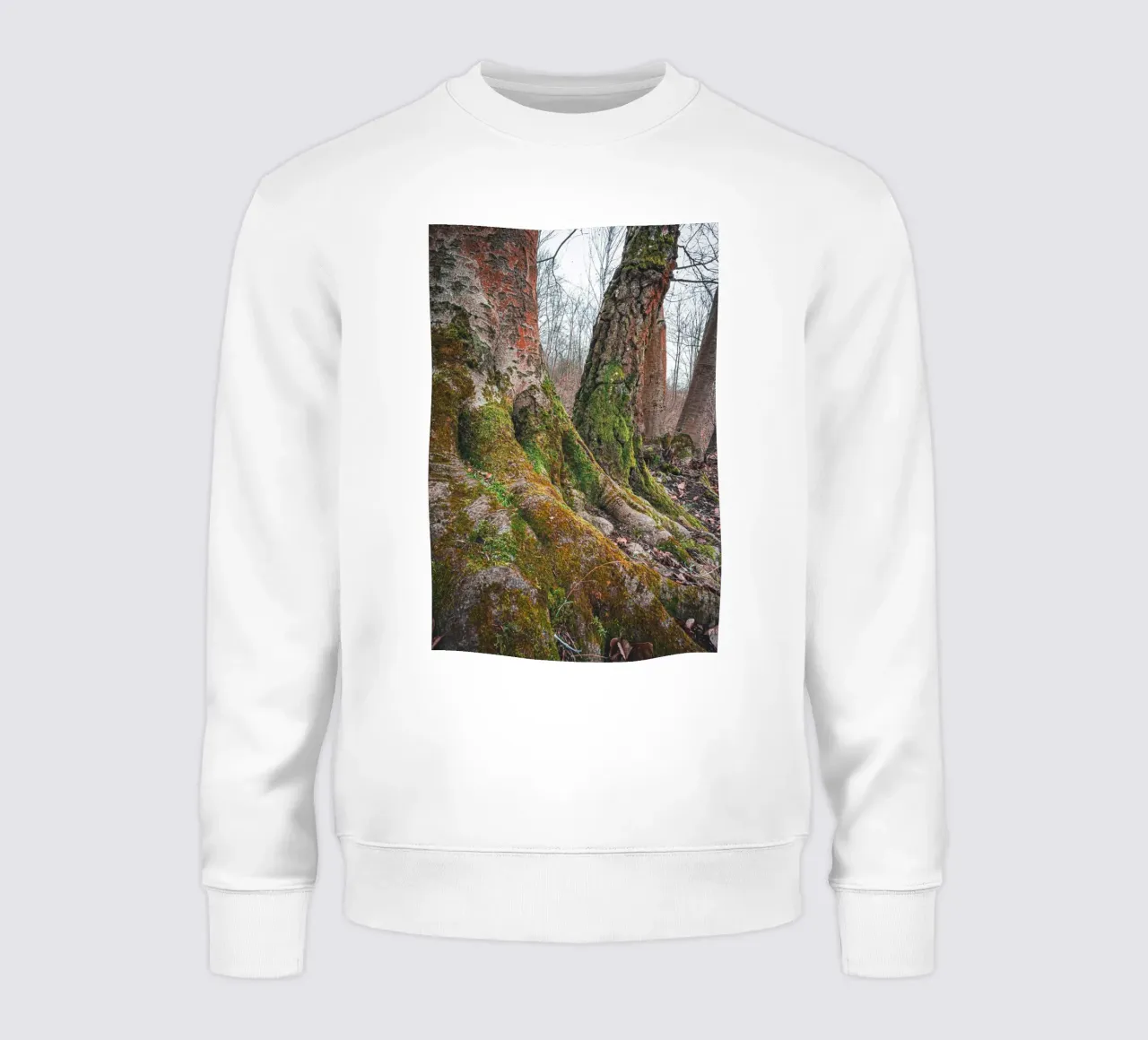 Moss on tree root sweatshirt by Marcus Beckert | Fotografie