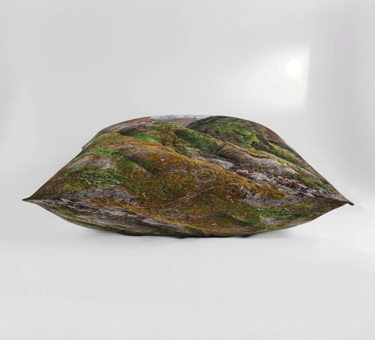 Moss on tree root decorative cushion by Marcus Beckert | Fotografie