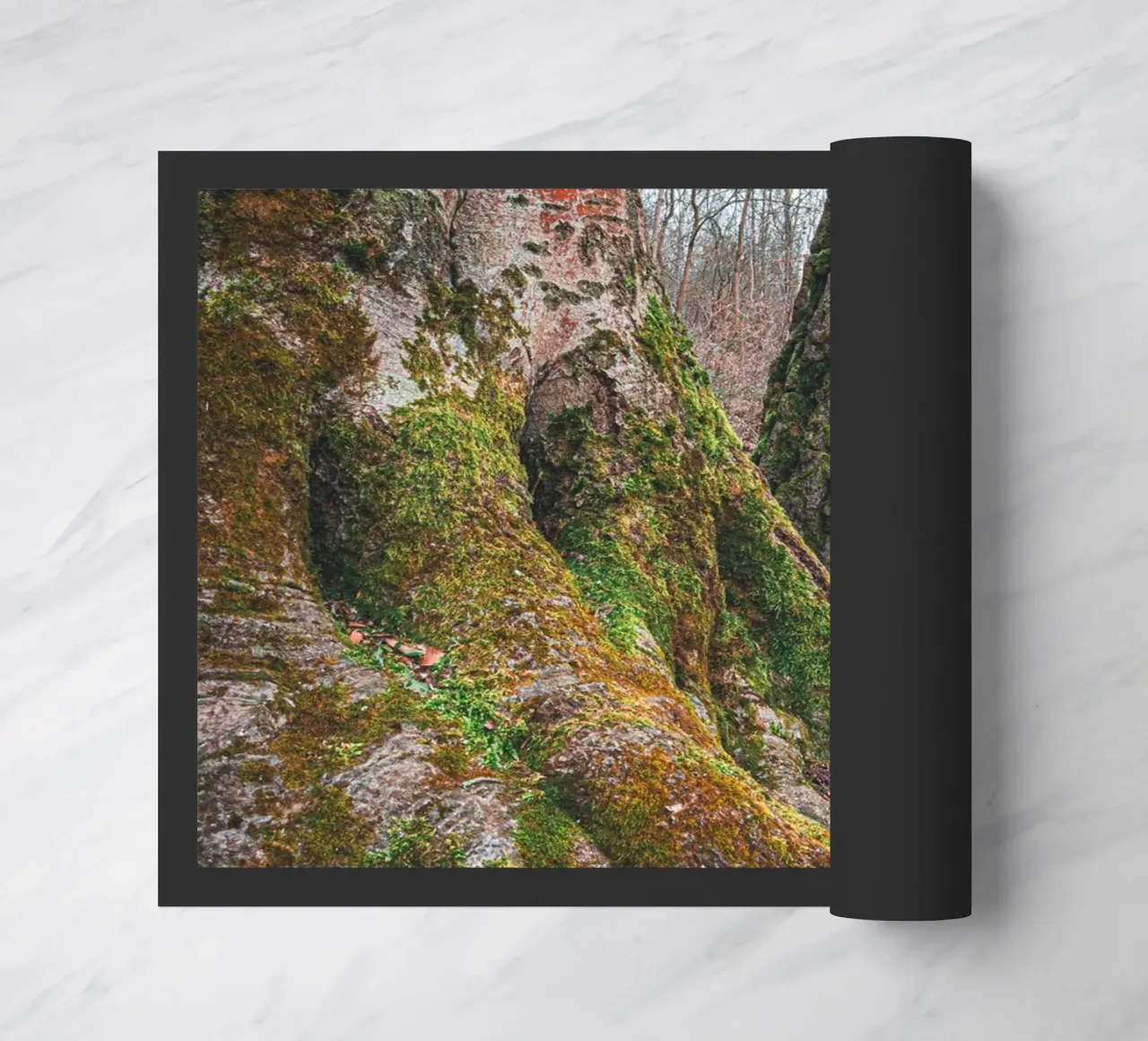 Moss on tree root doormat by Marcus Beckert | Fotografie