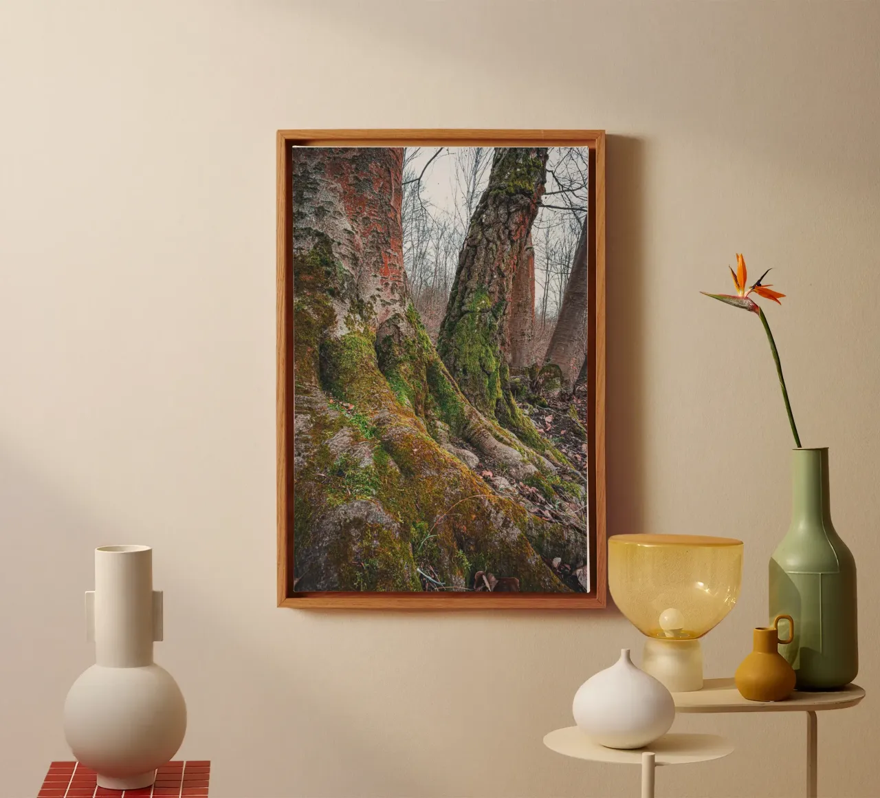 Moss on tree root canvas by Marcus Beckert | Fotografie