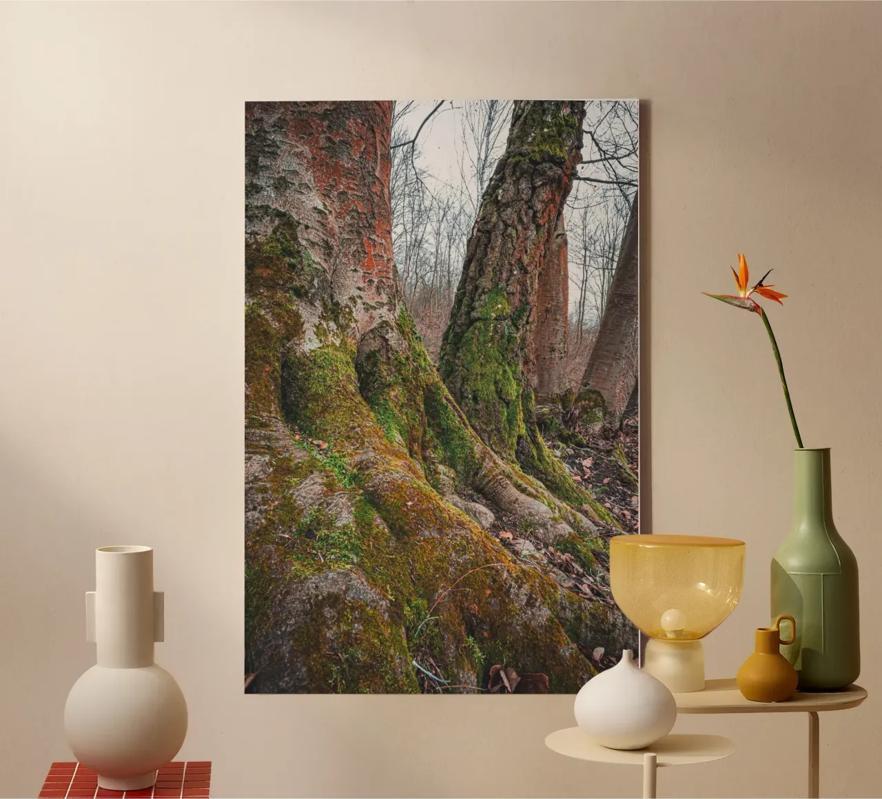 Moss on tree root canvas by Marcus Beckert | Fotografie