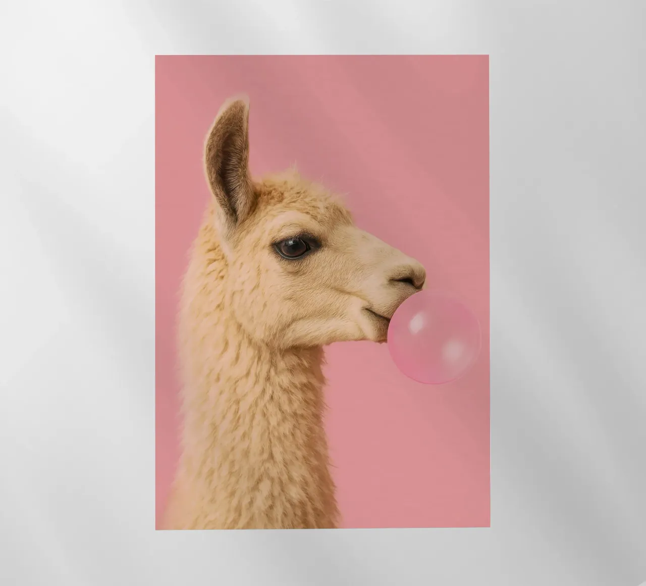 Llama Blowing Bubblegum pellicola backlit da Attaboy Dsgn