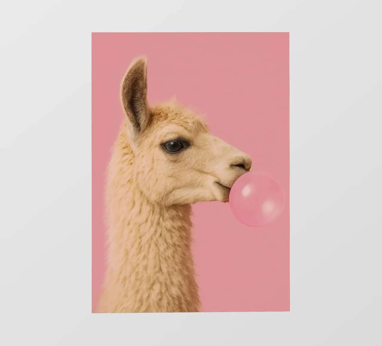 Llama Blowing Bubblegum pellicola backlit da Attaboy Dsgn
