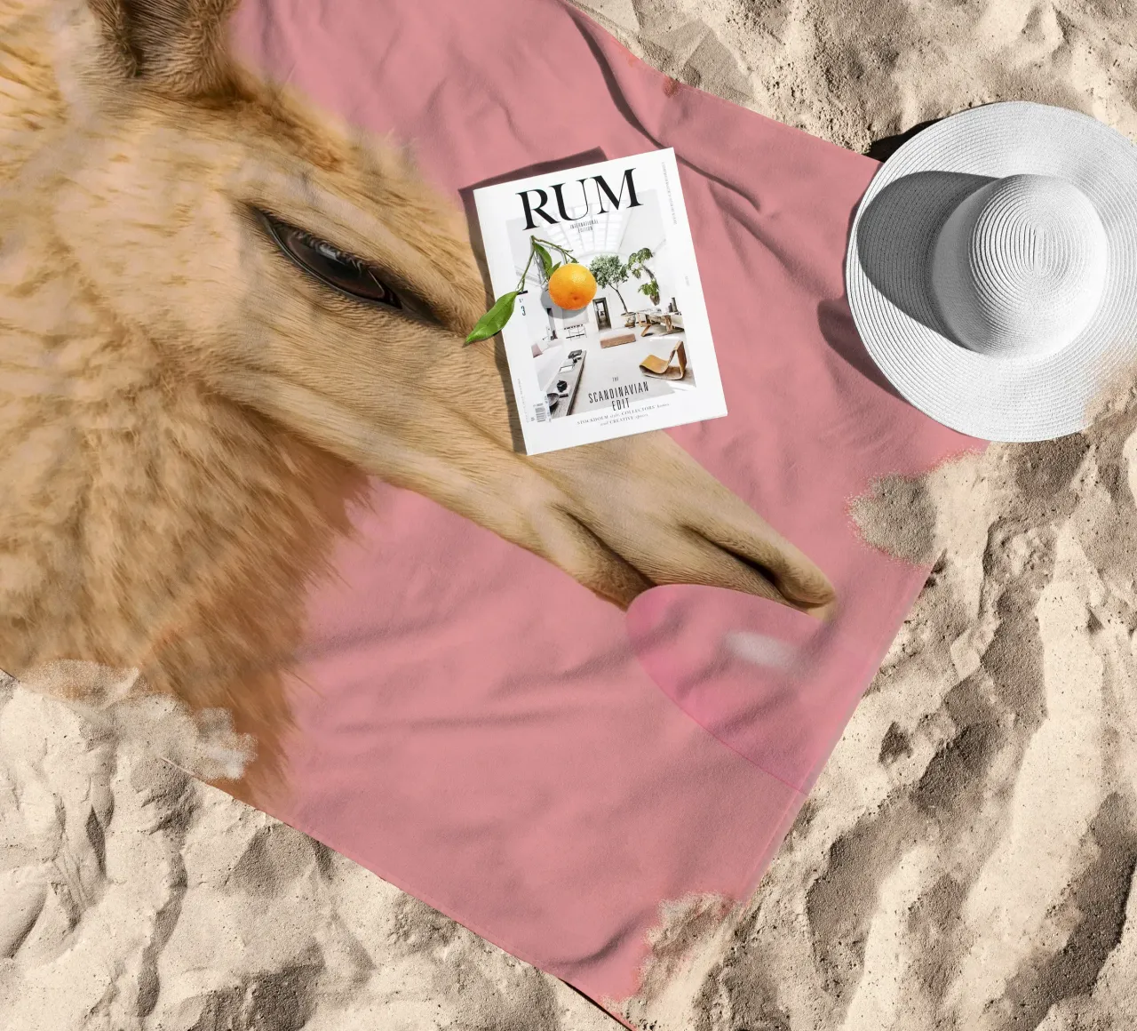 Llama Blowing Bubblegum telo mare da Attaboy Dsgn