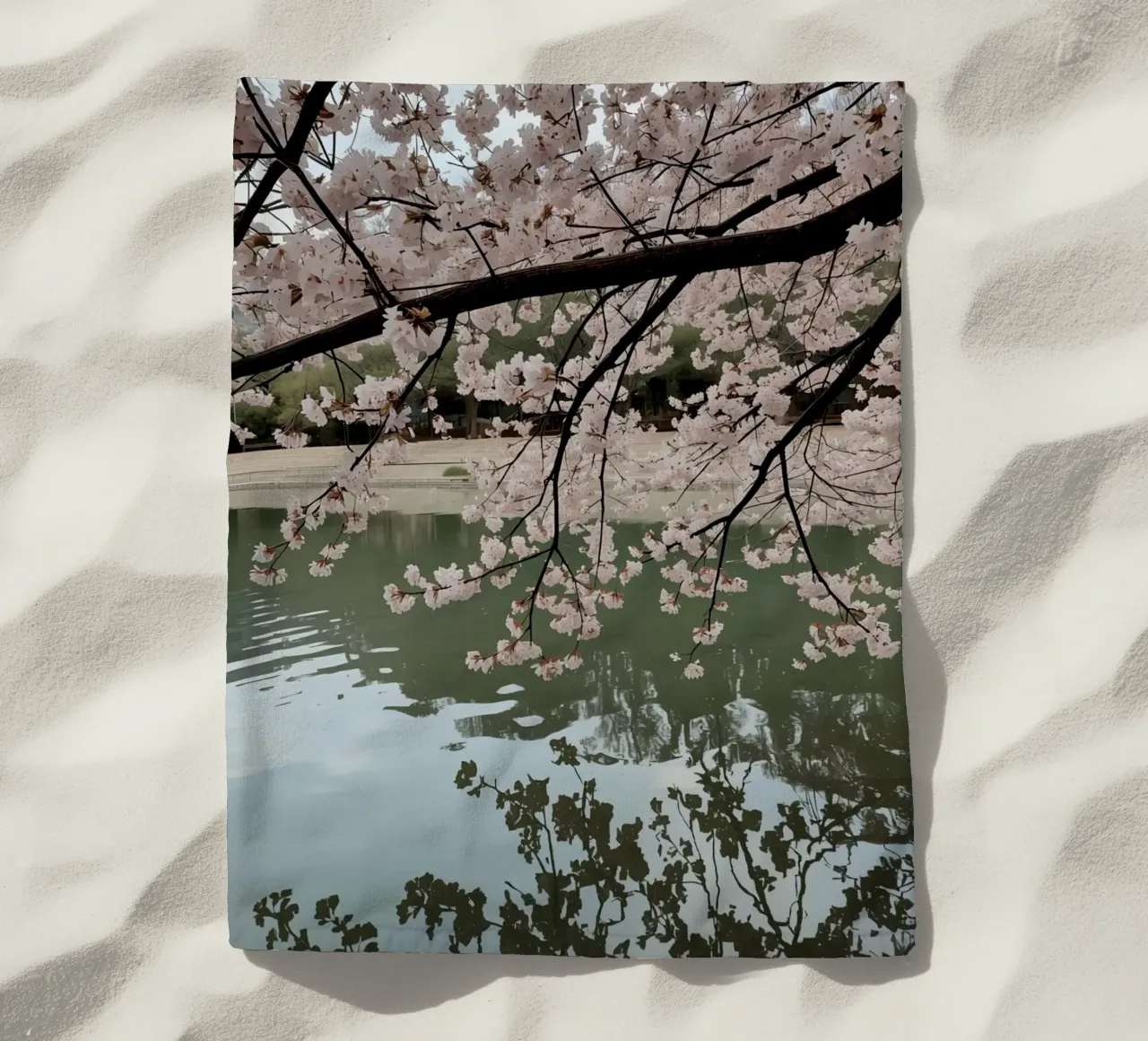 Rami di ciliegio in fiore sull'acqua con riflessi telo mare da DesignDoodle