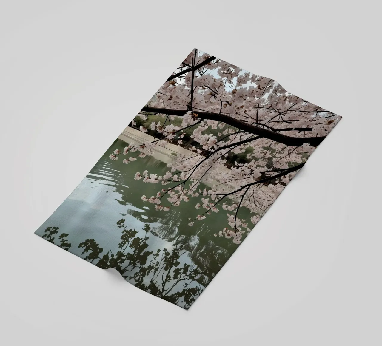 Rami di ciliegio in fiore sull'acqua con riflessi telo mare da DesignDoodle