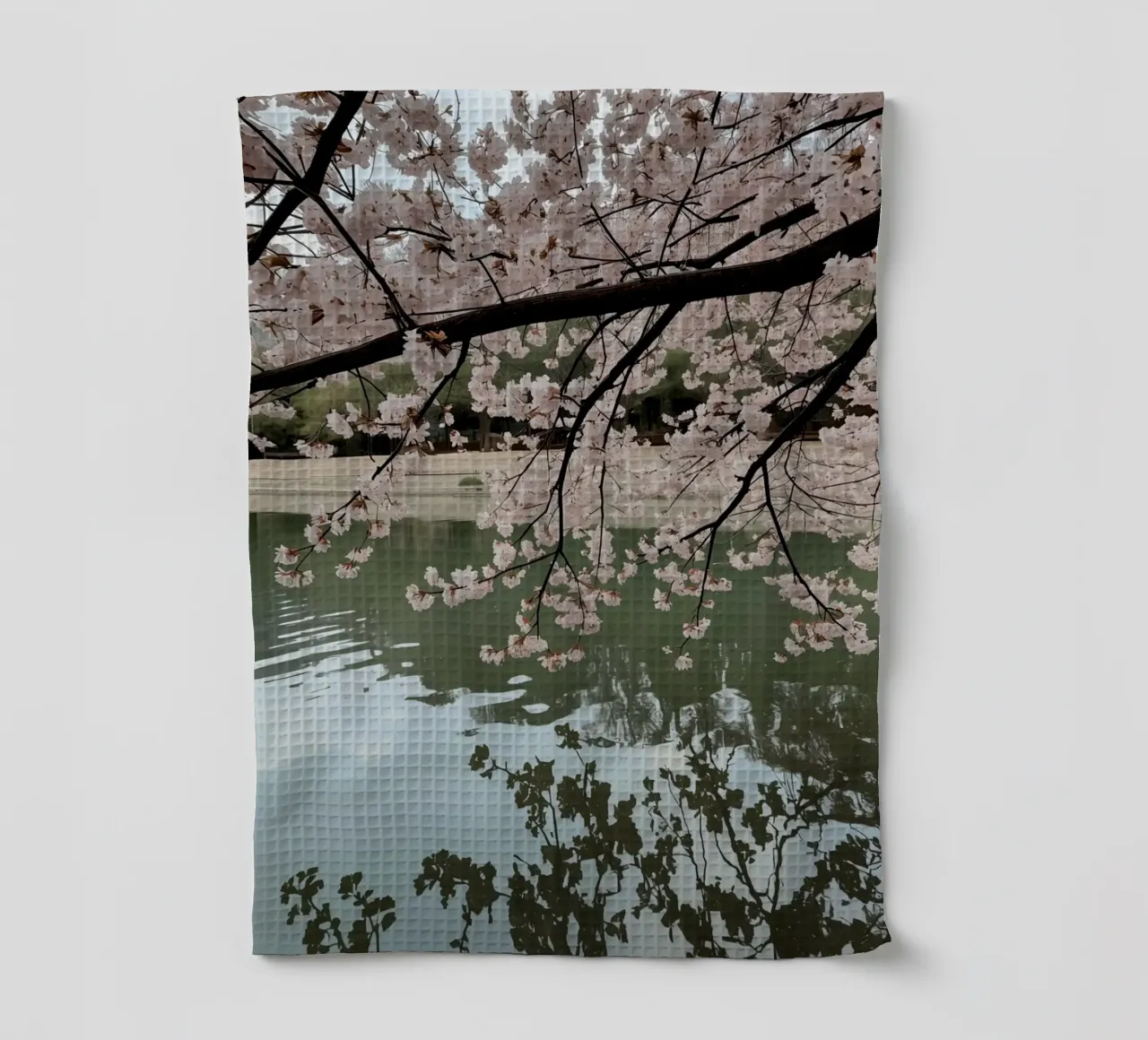 Rami di ciliegio in fiore sull'acqua con riflessi canovaccio da cucina da DesignDoodle