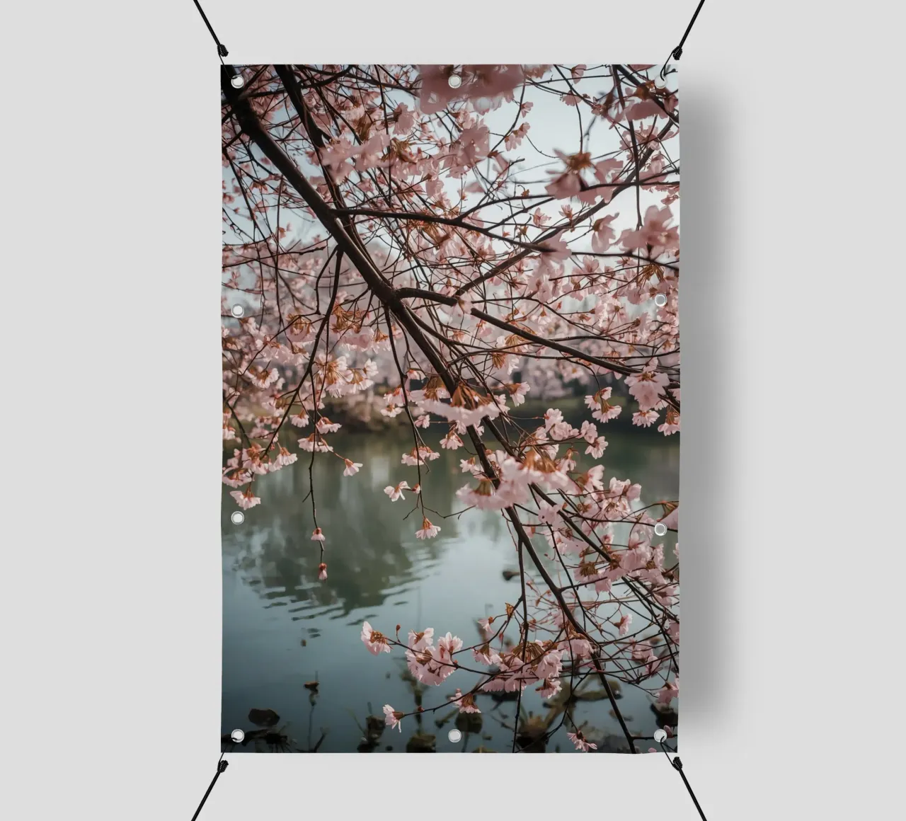 Rami di ciliegio in fiore sull'acqua telo in pvc da DesignDoodle