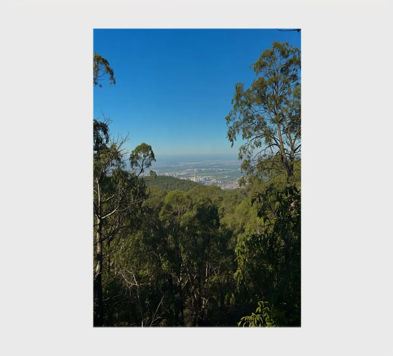 Cityscape View Through Trees notebook by DesignDoodle